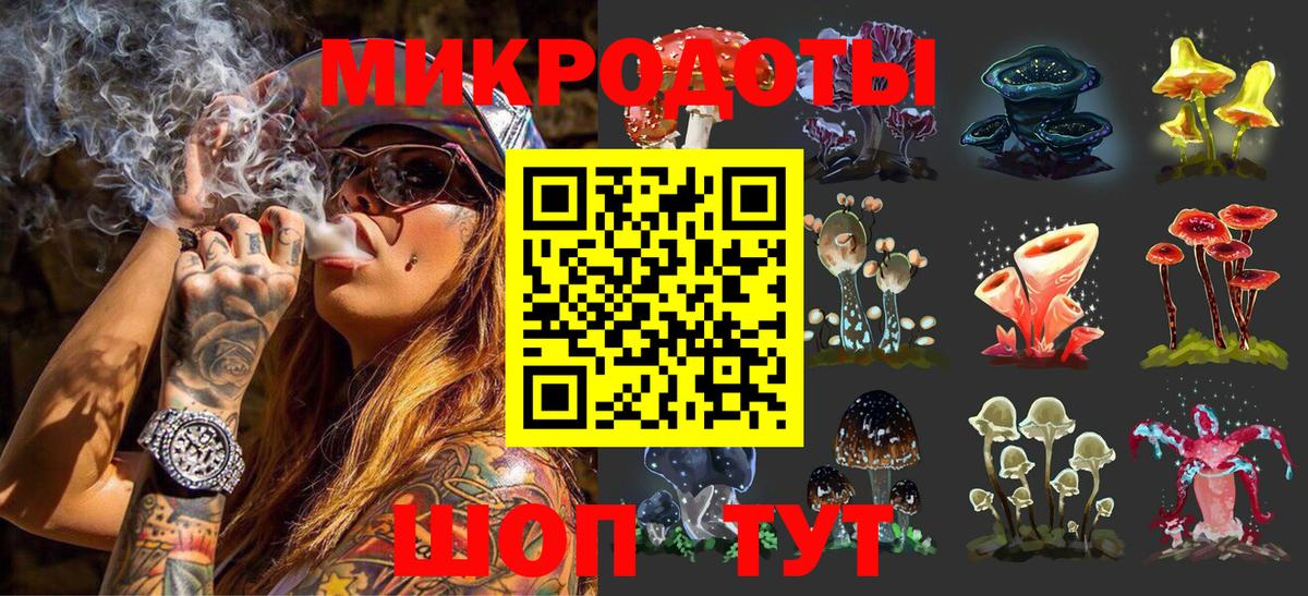 Галлюциногенные грибы Psilocybe  продажа наркотиков  Жуковский  Вход с VPN 